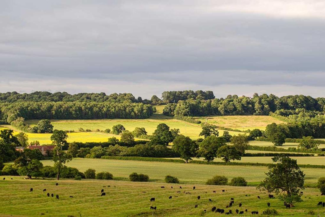 Howardian Hills Sheriff Hutton Lodges (3)